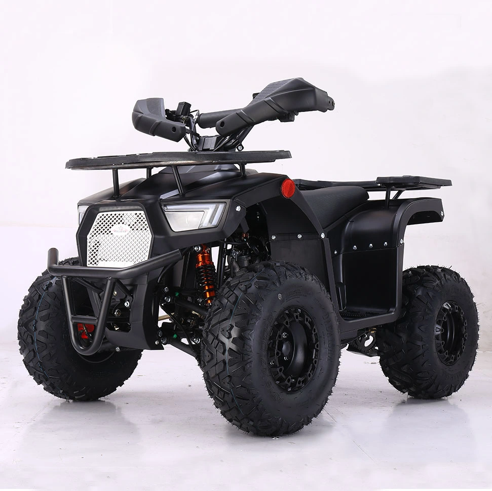 2022 New 125cc Kids ATV Adult Quad Bike 4 Wheel Petrol